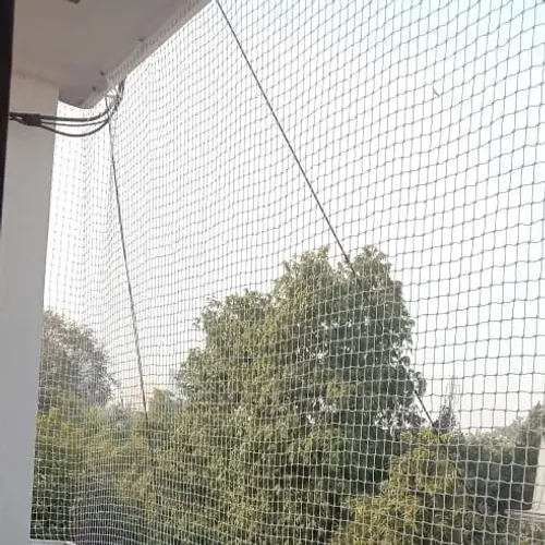 Bird Netting