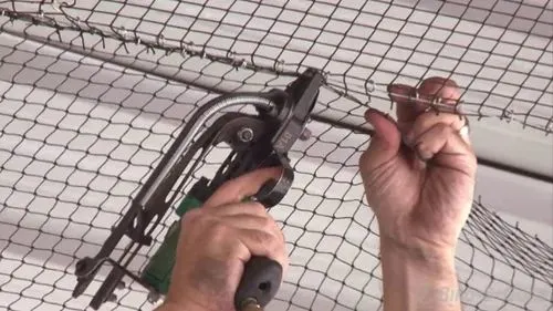 Pigeon Net